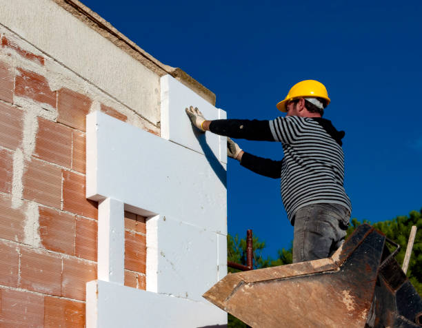 Best Wall Insulation Contractor  in Terrell, TX