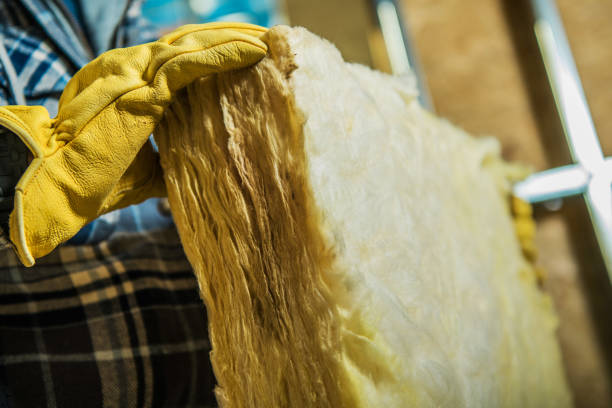 Best Wall Insulation Contractor  in Terrell, TX