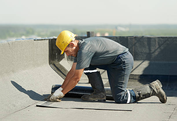 Best Fiberglass Insulation  in Terrell, TX