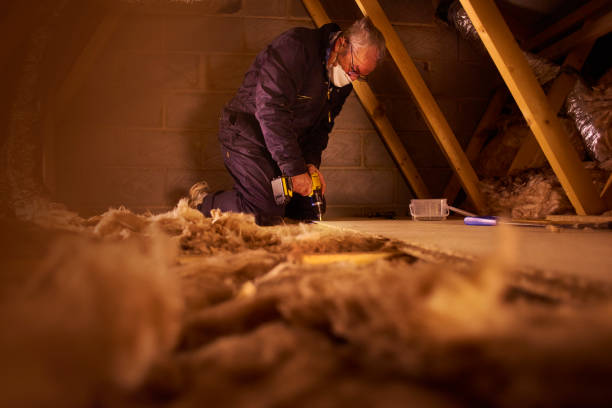 Best Insulation Replacement Services  in Terrell, TX